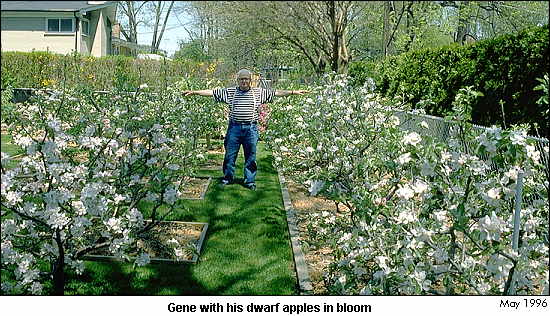 Gene Yale in his home orchard.